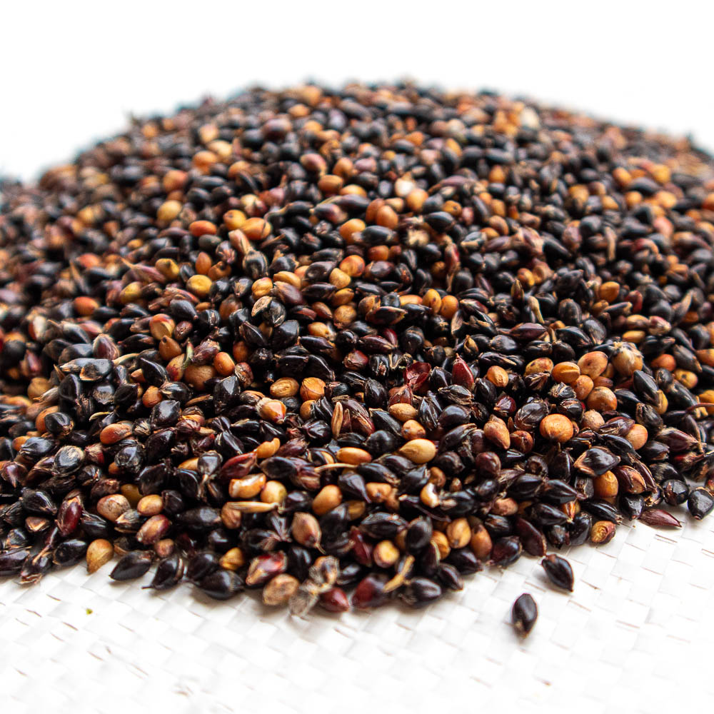 Sorghum gemischt (weiß und schwarz)