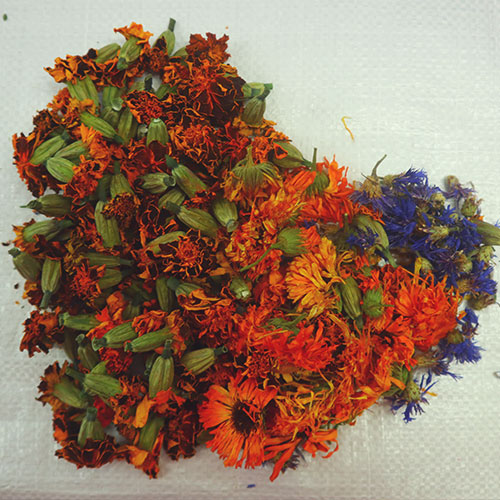 Blüten
