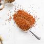 Preview: Rote lockere Kolbenhirse halbreif 1 kg - ausverkauft neue Ernte ab Juli 2025 -