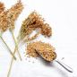 Preview: Silberhirse "classic" halbreif 0,5 kg - ausverkauft neue Ernte ab Juli 2025 -