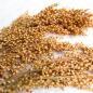 Preview: Silberhirse "classic" halbreif 0,5 kg - ausverkauft neue Ernte ab Juli 2025 -