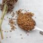 Preview: Kleinkörniges Sorghum weiß getrocknet 1 kg