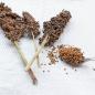 Preview: Kleinkörniges Sorghum weiß getrocknet 1 kg