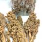 Preview: Quinoa-Rispe getrocknet 1kg