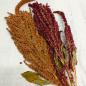 Preview: Amaranth-Rispen gemischt Rot und Gold getrocknet 75g