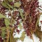 Preview: Bruch Amaranth rot getrocknet 150g