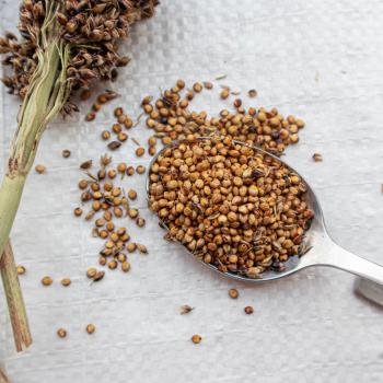 Kleinkörniges Sorghum weiß getrocknet 1 kg