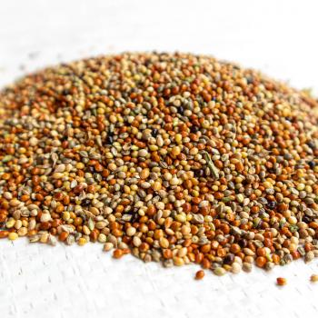 HirseMix gedroschen 1 kg