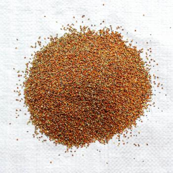 Rote Kolbenhirse gedroschen 1 kg