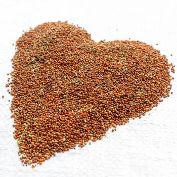 Rote Kolbenhirse gedroschen 1 kg