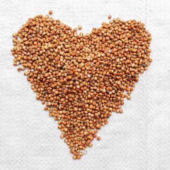 Sorghum weiß gedroschen 1 kg