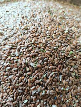 Leinsamen 250g Einzelfutter