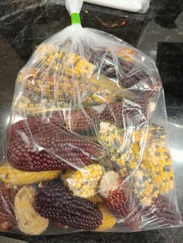 Maiskolben bunt 1 kg ohne Lieschblätter