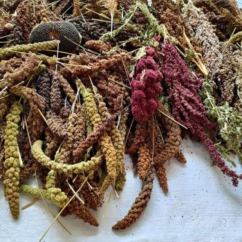 Preview: Überraschungspaket 2.Wahl 4kg