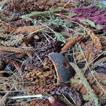 Preview: Überraschungspaket 2.Wahl 4kg