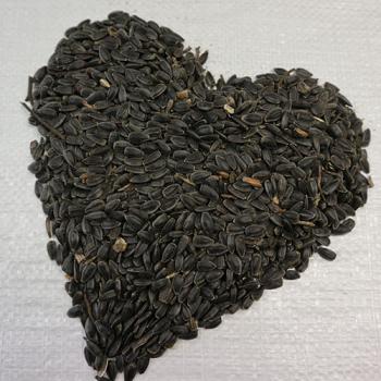 Sonnenblumenkerne schwarz 1 kg