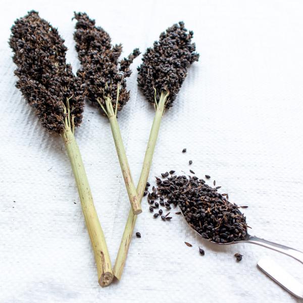Sorghum schwarz halbreif 0,5 kg -neue Saison ab August 2025-
