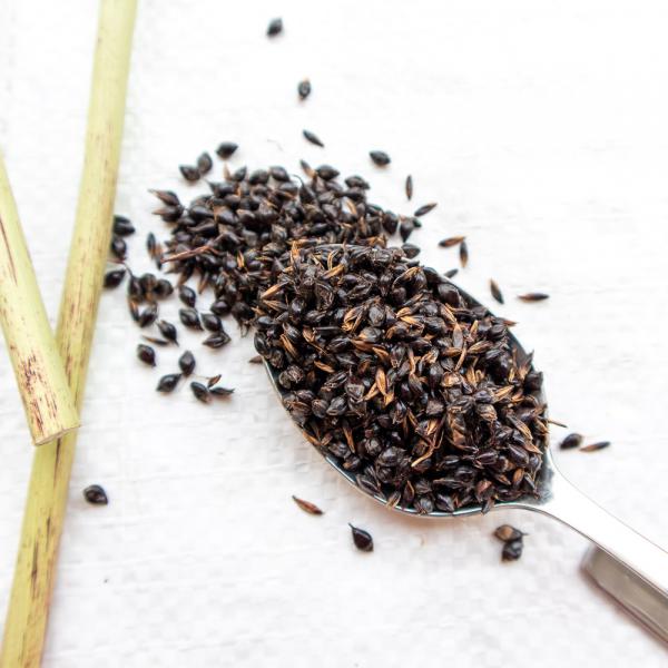 Sorghum schwarz halbreif 0,5 kg -neue Saison ab August 2025-