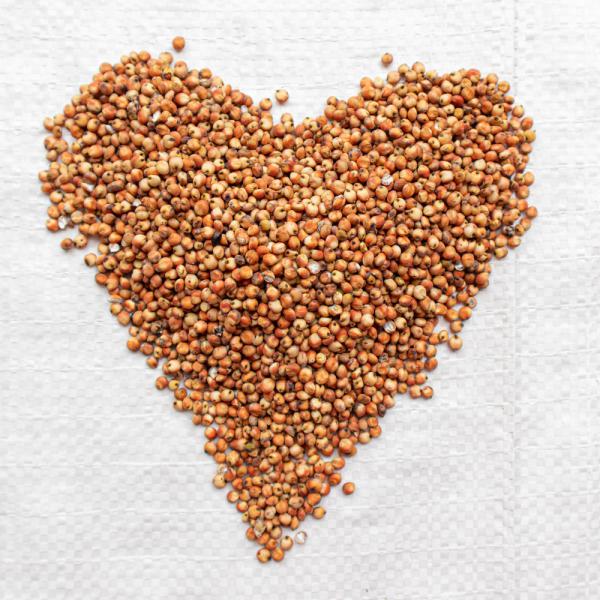 Sorghum weiß gedroschen 1 kg