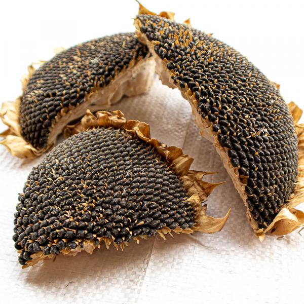 Sonnenblumenkopf getrocknete Hälften und Stücke 250 g