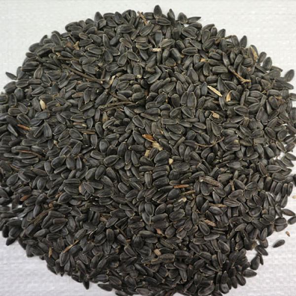 Sonnenblumenkerne schwarz 1 kg