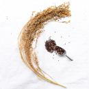 Schwarze Rispenhirse getrocknet 1 kg Einzelfutter