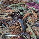 Überraschungspaket 2.Wahl 4kg